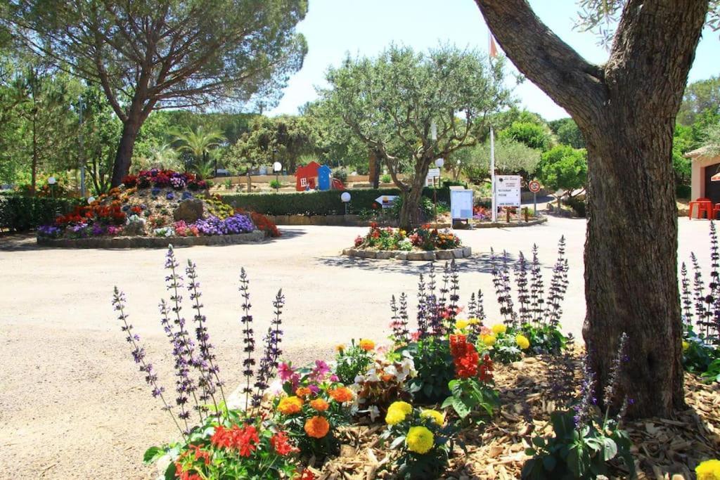 Mobile Home 6-Pers Camping Lei Suves-Cotes D'Azur-Including Airco Roquebrune-sur Argens Kültér fotó